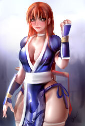 Rule 34 | 1girl, breasts, cleavage, dead or alive, highres, kasumi (doa), large breasts, long hair, looking at viewer, onishinx, solo