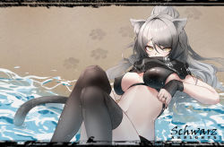 Rule 34 | 1girl, animal ears, arknights, bikini, black bikini, black scarf, black thighhighs, breasts, cat ears, cat tail, chinese commentary, commentary request, female focus, grey hair, jewelry, knees up, large breasts, long hair, looking at viewer, navel, paw print, ring, scarf, schwarz (arknights), solo, stomach, swimsuit, tail, thighhighs, thighs, water, yellow eyes, yunlingluo
