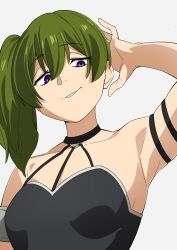 Rule 34 | 1girl, arm behind head, arm up, armpits, bare shoulders, black choker, choker, commentary request, green hair, highres, long hair, o-ring, o-ring choker, parted lips, purple eyes, sakura 1110ssmm, side ponytail, simple background, solo, sousou no frieren, ubel (sousou no frieren), white background