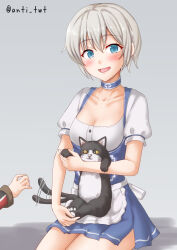 Rule 34 | 2girls, anti (untea9), apron, blonde hair, blue eyes, blush, breasts, cat, cleavage, country connection, dirndl, german clothes, gradient background, grey background, grey hair, hat, highres, kantai collection, looking at viewer, medium breasts, multiple girls, official alternate costume, open mouth, prinz eugen (kancolle), sailor collar, sailor hat, short hair, sitting, twitter username, unsinkable sam, z1 leberecht maass (kancolle)