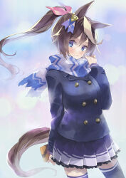 Rule 34 | 1girl, animal ears, arm behind back, black thighhighs, blue eyes, blue jacket, blush, box, breasts, brown hair, closed mouth, commentary request, ech, floating hair, frilled skirt, frills, fringe trim, gift, gift box, hair between eyes, hair ribbon, hand up, highres, holding, holding gift, horse ears, horse girl, horse tail, jacket, long hair, long sleeves, looking at viewer, multicolored hair, pink ribbon, pleated skirt, ponytail, purple skirt, ribbon, scarf, skirt, small breasts, smile, solo, streaked hair, tail, thighhighs, tokai teio (umamusume), umamusume, valentine, white hair