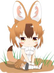 Rule 34 | 1girl, animal ear fluff, animal ears, bare shoulders, blush, boots, breasts, brown eyes, brown hair, brown skirt, brown thighhighs, chibi, closed mouth, commentary request, dhole (kemono friends), drooling, full body, gloves, hair between eyes, highres, kemono friends, multicolored hair, pleated skirt, revision, saliva, shin01571, shirt, shoe soles, sitting, skirt, sleeveless, sleeveless shirt, small breasts, solo, tail, tail raised, thighhighs, two-tone hair, white background, white footwear, white gloves, white hair, white shirt