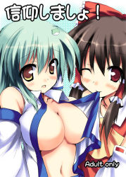 Rule 34 | 2girls, bare shoulders, blush, bow, breasts, brown eyes, brown hair, cleavage, cover, cover page, detached sleeves, female focus, frog, green hair, hair bow, hair ornament, hakurei reimu, kochiya sanae, large breasts, mouth hold, multiple girls, red eyes, ryokushiki (midori-ya), touhou, wink