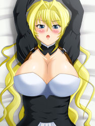 Rule 34 | blonde hair, blue eyes, blush, breasts, cleavage, highres, large breasts, long hair, sekirei, tomite, tsukiumi