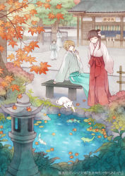 Rule 34 | 1girl, 3boys, autumn, autumn leaves, bench, blonde hair, blunt bangs, brown hair, cat, closed eyes, closed mouth, commentary request, copyright name, copyright request, eating, facing viewer, fish, food, hakama, hakama skirt, holding, holding food, japanese clothes, kimono, koi, kuroyuki, leaf, long hair, looking at viewer, maple leaf, multiple boys, official art, one side up, outdoors, path, pond, road, shrine, sign, sitting, skirt, smile, standing, statue, sweet potato, tree, water, watermark, white cat