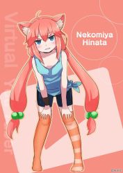 Rule 34 | 1girl, animal ear fluff, animal ears, asymmetrical legwear, bike shorts, blue eyes, cat ears, character name, choker, full body, hair bobbles, hair ornament, hands on own knees, hinata channel, leaning forward, long hair, low twintails, mismatched legwear, nekomiya hinata, orange thighhighs, pink hair, shorts, solo, striped clothes, striped thighhighs, thighhighs, twintails, vest, virtual youtuber, white vest, wristband