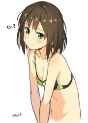 Rule 34 | 1girl, bad id, bad pixiv id, bare shoulders, black hair, blush, bottomless, bra, breasts, cleavage, green bra, green eyes, kinta (distortion), looking at viewer, navel, no panties, original, short hair, simple background, small breasts, smile, solo, underwear, white background