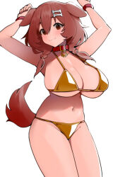 Rule 34 | 1girl, :3, ahoge, alternate breast size, animal collar, animal ears, bare shoulders, bikini, blush, bone hair ornament, braid, breasts, brown eyes, brown hair, cartoon bone, cleavage, collar, commentary, dismassd, dog ears, dog girl, dog tail, english commentary, gold bikini, hair between eyes, hair ornament, hairclip, highres, hololive, inugami korone, large breasts, low twintails, red collar, simple background, smile, swimsuit, tail, twin braids, twintails, virtual youtuber