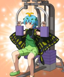 Rule 34 | 1girl, adapted costume, antennae, aqua hair, black dress, closed mouth, dress, eternity larva, fairy, fairy wings, green dress, green footwear, green shorts, leaf, leaf on head, md5 mismatch, multicolored clothes, multicolored dress, red eyes, shirosato, shoes, short hair, short sleeves, shorts, sitting, solo, touhou, wings