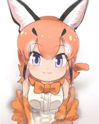 Rule 34 | 10s, 1girl, :3, animal ears, bare shoulders, belt, blue eyes, blush, bow, bowtie, caracal (kemono friends), center frills, commentary request, elbow gloves, frills, from above, gloves, high-waist skirt, kemono friends, light brown hair, long hair, multicolored hair, skirt, sleeveless, solo, tail, tatsuno newo, traditional bowtie