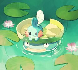 Rule 34 | artist name, closed mouth, creatures (company), flower, game freak, gen 3 pokemon, highres, in water, lily pad, looking at viewer, lotad, mudkip, nintendo, no humans, partially submerged, pink flower, pokemon, pokemon (creature), su (sajo su5), water, water lily flower