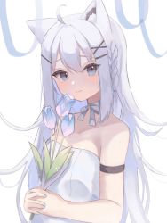 Rule 34 | 1girl, ahoge, animal ears, ao kotoha, arm strap, bare shoulders, blue nails, braid, breasts, commentary request, dress, flower, fox ears, fox girl, grey eyes, hair between eyes, hair ornament, hairclip, highres, holding, holding flower, hololive, long hair, looking at viewer, nail polish, neck ribbon, own hands together, ribbon, shirakami fubuki, sidelocks, simple background, single braid, small breasts, smile, solo, strapless, strapless dress, tulip, virtual youtuber, white background, white dress, white hair