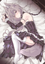 Rule 34 | 1girl, animal ears, ass, bare shoulders, bed sheet, black dress, blush, branded, bridal gauntlets, chain, collar, crying, dress, fetal position, fox ears, fox tail, highres, leash, long hair, looking at viewer, lying, nail polish, no shoes, on side, original, own hands together, parted lips, pink eyes, silver hair, solo, strapless, strapless dress, tail, tears, thighhighs, thighs, touma kisa, upskirt, very long hair, white nails, white thighhighs