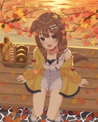 Rule 34 | 1girl, animal ears, autumn leaves, bench, bone hair ornament, braid, bread, breasts, brown eyes, brown hair, collar, commentary, dog ears, dog tail, dress, fang, food, from above, hair ornament, highres, hololive, inugami korone, inugami korone (1st costume), jacket, leaf, maple leaf, medium breasts, medium hair, off shoulder, omul, open mouth, outdoors, red collar, sitting, smile, sunset, tail, twin braids, virtual youtuber, white dress, wooden bench, yellow jacket