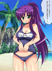 Rule 34 | 1990s (style), 1girl, afuro, beach, breasts, faris scherwiz, female focus, final fantasy, final fantasy v, green eyes, large breasts, long hair, nature, one-piece swimsuit, open mouth, outdoors, ponytail, purple hair, sky, solo, swimsuit, translation request, tree, water