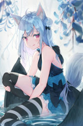 Rule 34 | 1girl, ahoge, animal ear fluff, animal ears, armpit crease, asymmetrical legwear, bare arms, bare shoulders, black dress, black thighhighs, blue hair, blue theme, breasts, closed mouth, double bun, dress, flower, fox ears, fox girl, fox tail, frilled dress, frills, hair bun, halter dress, halterneck, highres, long hair, looking at viewer, looking to the side, mishuo (misuo69421), mismatched legwear, original, red eyes, sitting, skindentation, sleeveless, sleeveless dress, small breasts, smile, solo, striped clothes, striped thighhighs, tail, thighhighs, thighs, tongue, tongue out, water, wisteria, zettai ryouiki