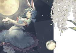 Rule 34 | 1girl, animal ears, bad id, bad pixiv id, blue dress, blue hair, rabbit ears, cover, dew drop, dress, earclip, flower, hichiko, highres, long hair, moon, night, open mouth, red eyes, seiran (touhou), smile, solo, touhou, water drop