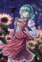 Rule 34 | 1girl, ascot, breasts, center frills, cloud, commentary request, confetti, dutch angle, feet out of frame, field, flower, flower field, frilled ascot, frilled shirt collar, frills, green hair, hair between eyes, juliet sleeves, kazami yuuka, large breasts, long sleeves, looking at viewer, night, night sky, petticoat, plaid, plaid skirt, plaid vest, puffy sleeves, red eyes, red skirt, red vest, shirt, short hair, skirt, skirt set, sky, smile, solo, standing, sunflower, sunflower field, touhou, vest, white shirt, y2, yellow ascot