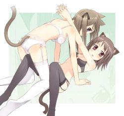 Rule 34 | 2girls, all fours, amagai tarou, animal ears, ass, bra, breasts, cat ears, cat tail, cleavage, garter belt, girl on top, hair ribbon, legs, lingerie, looking at viewer, multiple girls, navel, original, own hands clasped, own hands together, panties, ribbon, short hair, small breasts, tail, thighhighs, twintails, underwear, underwear only, yuri