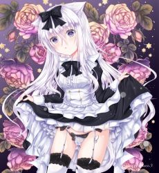 Rule 34 | 1girl, animal ears, black bow, bow, bowtie, cat ears, cat tail, dress, flower, frilled shirt collar, frills, garter straps, gluteal fold, highres, lace, lace-trimmed legwear, lace trim, lifted by self, long hair, long sleeves, maid, original, panties, parted lips, purple eyes, rose, sidelocks, sleeve cuffs, solo, star (symbol), string panties, tail, thighhighs, underwear, white hair, white panties, white thighhighs, yoizuki mashiro