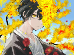 Rule 34 | 1boy, bags under eyes, bishounen, black hair, blue sky, e.g.o (project moon), flower, flower over eye, highres, korean clothes, limbus company, male focus, outdoors, project moon, sky, solo, tree, upper body, y0ru73, yellow eyes, yi sang (project moon)