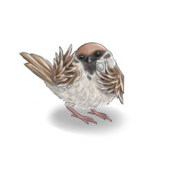 Rule 34 | animal focus, ao usagi, bird, camera, commentary request, eurasian tree sparrow, lowres, md5 mismatch, no humans, original, parody, pun, revision, shadow, simple background, solo, sparrow, white background