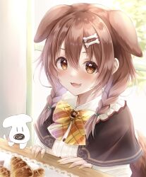 Rule 34 | 1girl, absurdres, animal ears, baumku techen, blush, bone hair ornament, bow, bowtie, braid, brown capelet, brown eyes, brown hair, capelet, commentary request, dog ears, dog tail, extra ears, fangs, frilled shirt collar, frills, hair between eyes, hair ornament, hairclip, highres, hololive, hoso-inu, indoors, inugami korone, inugami korone (street), long hair, long sleeves, looking at viewer, low twin braids, low twintails, official alternate costume, paw ornament, plaid, plaid bow, plaid bowtie, shirt, solo, tail, twin braids, twintails, v-shaped eyebrows, virtual youtuber, white shirt, yellow bow, yellow bowtie