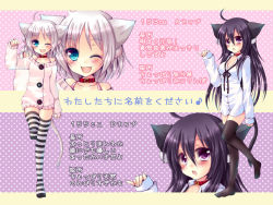 Rule 34 | 2girls, animal ears, black &amp; white, black legwear, blue eyes, blush, breasts, buttons, character sheet, collar, fang, female focus, highres, long hair, looking at viewer, meiya neon, multiple girls, one eye closed, open mouth, original, patterned legwear, paw pose, polka dot, polka dot background, purple eyes, purple hair, short hair, sleeves past wrists, smile, socks, striped clothes, striped legwear, striped thighhighs, sweater, tail, thighhighs, translation request, two-tone stripes, white hair, wink, zoom layer