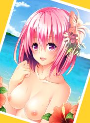 Rule 34 | 1girl, :d, beach, blue sky, blush, border, breasts, cloud, collarbone, day, female focus, ffcreatyuuki, flower, food, fruit, hair between eyes, hair flower, hair ornament, head tilt, hibiscus, horizon, leaf, looking at viewer, md5 mismatch, momo velia deviluke, nipples, ocean, open mouth, outdoors, peach, photo (object), pink eyes, pink hair, plant, purple eyes, resolution mismatch, sand, shore, short hair, simple background, sky, smile, solo, source larger, sunlight, sweat, sweatdrop, tareme, to love-ru, topfreedom, topless, topless frame, upper body, water, white border, yellow background