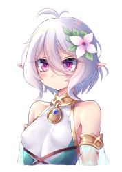 Rule 34 | 1girl, antenna hair, bare shoulders, blush, breasts, closed mouth, commentary request, cropped torso, detached sleeves, elf, expressionless, flower, gold trim, hair between eyes, hair flower, hair ornament, highres, kokkoro (princess connect!), leaf, miyabi urumi, pink flower, pointy ears, princess connect!, purple eyes, see-through, short hair, silver hair, simple background, small breasts, solo, upper body, white background