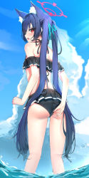 Rule 34 | 1girl, animal ear fluff, animal ears, ass, bare shoulders, bikini, black bikini, blue archive, blue hair, blush, cat ears, from behind, halo, long hair, looking at viewer, looking back, off-shoulder bikini, off shoulder, open mouth, outdoors, red eyes, serika (blue archive), serika (swimsuit) (blue archive), solo, suzuharu toufu, swimsuit, thighs, twintails, water