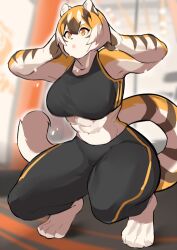 Rule 34 | 1girl, abs, absurdres, animal ears, arms behind head, black pants, blurry, depth of field, furry, furry female, highres, mei xiang xiaojie, open mouth, original, pants, short hair, solo, sports bra, squatting, tail, tiger ears, tiger girl, tiger tail, yellow eyes, yoga pants