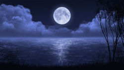 cloud commentary grass lake mclelun moon night night_sky no_humans outdoors scenery sky tree