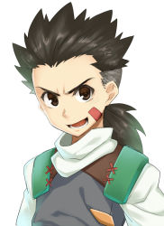 Rule 34 | 1boy, black hair, brown eyes, brown hair, facial mark, hiroya juuren, male focus, open mouth, ponytail, simple background, solo, upper body, van flyheight, white background, zoids, zoids chaotic century