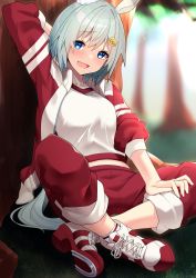 Rule 34 | 1girl, against tree, animal ears, arm behind head, blue eyes, blurry, blurry background, collarbone, commentary request, crossed legs, flower, gym uniform, hair ornament, hairclip, highres, horse ears, horse girl, horse tail, jacket, looking at viewer, nebusoku, open mouth, outdoors, pants, pants rolled up, red jacket, red legwear, school uniform, seiun sky (umamusume), shirt, shoes, short hair, silver hair, sitting, smile, sneakers, solo, tail, tree, umamusume