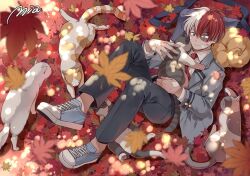 Rule 34 | 1boy, animal, animal on chest, artist name, autumn, autumn leaves, bag, black pants, blazer, blue eyes, blurry, blurry foreground, blush, boku no hero academia, burn scar, buttoned cuffs, buttons, cat, closed eyes, closed mouth, collared shirt, cross-laced footwear, curled up, dappled sunlight, double horizontal stripe, falling leaves, from above, full body, gauze, grey cat, grey eyes, hair between eyes, hands up, heterochromia, jacket, knees up, leaf, long sleeves, looking at animal, lying, male focus, maple leaf, mia0309, multicolored hair, necktie, nuzzle, on back, on stomach, open clothes, open jacket, orange cat, pants, parted hair, red hair, red necktie, satchel, scar, scar on face, school uniform, scratches, shade, shirt, short hair, shoulder bag, signature, solo, split-color hair, straight hair, sunlight, surprised, todoroki shouto, toes up, too many, too many cats, two-tone hair, u.a. school uniform, unworn bag, white hair, white shirt, wing collar, yellow leaves