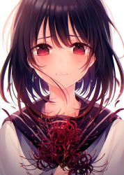 Rule 34 | 1girl, absurdres, backlighting, black hair, bob cut, clenched teeth, collarbone, crying, crying with eyes open, flower, frown, highres, holding, holding flower, huge filesize, kuro namako, looking at viewer, medium hair, neckerchief, original, petals, portrait, red eyes, sailor collar, school uniform, serafuku, simple background, solo, spider lily, tears, teeth, upper body, white background