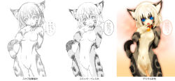Rule 34 | animal ears, bell, neck bell, blue eyes, cat, cat ears, cat tail, collar, fang, furry, looking at viewer, navel, open mouth, sketch, slit pupils, standing, tail, tashiro yuu, translation request, whiskers, white hair