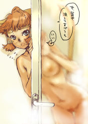 Rule 34 | 00s, 1girl, animal ears, bad id, bad pixiv id, bath, branch (blackrabbits), cat ears, cat tail, cowboy shot, door, final fantasy, final fantasy xi, mithra (ff11), navel, nude, peeking out, shower, solo, tail, translated