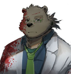 Rule 34 | 1boy, animal ears, bara, bear boy, bear ears, blood, blood on clothes, blood on face, expressionless, furry, furry male, glasses, green-framed eyewear, green necktie, highres, lab coat, leib (housamo), male focus, necktie, neumo, ponytail, short hair, solo, thick eyebrows, tokyo houkago summoners, upper body