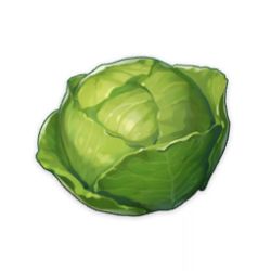 Rule 34 | artist request, cabbage, commentary, english commentary, food, food focus, game cg, genshin impact, green theme, ingredients, leaf, lowres, no humans, official art, plant, simple background, still life, third-party source, transparent background