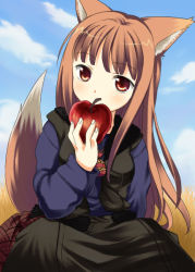 Rule 34 | 00s, 1girl, animal ears, apple, food, fruit, holding, holding food, holding fruit, holo, jimeko, solo, spice and wolf, tail, wolf ears, wolf tail