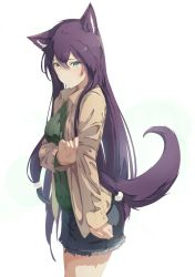 Rule 34 | 1girl, animal ears, breasts, closed mouth, green eyes, hair between eyes, highres, holding, long hair, long sleeves, looking at viewer, medium breasts, mikisai, original, pulling own clothes, purple hair, purple tail, sidelocks, simple background, smile, solo, tail, white background