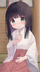 Rule 34 | 1girl, black hair, blue eyes, blunt bangs, blush, closed mouth, commentary request, hakama, hakama skirt, highres, holding, japanese clothes, kimono, long hair, long sleeves, looking at viewer, miko, mimikaki (men bow), original, pregnancy test, red hakama, sitting, skirt, smile, solo, white kimono, wide sleeves