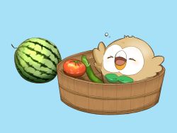Rule 34 | &gt; &lt;, bird, blue background, bucket, commentary request, creatures (company), cucumber, closed eyes, food, fruit, game freak, gen 7 pokemon, highres, hiyoko kurabu, nintendo, no humans, open mouth, partially submerged, pokemon, pokemon (creature), rowlet, solo, tomato, tongue, water, watermelon