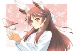 Rule 34 | 10s, 1girl, bird, brave witches, brown eyes, brown hair, floral background, hair ribbon, head wings, karibuchi takami, long hair, long sleeves, looking at viewer, military, military uniform, naval uniform, parted lips, red liquid (artist), ribbon, solo, sparrow, uniform, wings, world witches series