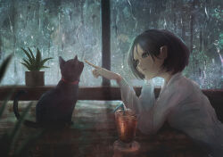 Rule 34 | 1girl, animal, black cat, black eyes, black hair, cat, commentary request, condensation, cup, drink, drinking glass, drinking straw, glass, head rest, highres, indoors, long sleeves, original, parted lips, plant, pointing, potted plant, rain, shirt, short hair, sitting, solo, table, tsukushi miwo, upper body, water drop, white shirt, window