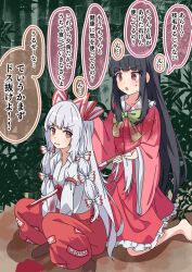 Rule 34 | 2girls, bamboo, bamboo forest, barefoot, black hair, blood, blood on clothes, blood on ground, bow, commentary request, dripping blood, forest, frilled skirt, frills, fujiwara no mokou, green bow, hair bow, hand in another&#039;s hair, houraisan kaguya, long hair, long sleeves, multiple girls, multiple hair bows, nature, ofuda, ofuda on clothes, orange eyes, pants, pink eyes, pink shirt, red pants, red skirt, saimu taju, shirt, skirt, squatting, sword, touhou, translated, translation request, very long hair, weapon, white hair, wide sleeves