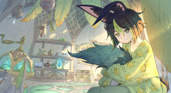 Rule 34 | 1boy, alternate costume, animal ear fluff, animal ears, black hair, book, bug, butterfly, closed mouth, commentary request, dahuang, expressionless, feet out of frame, fox boy, fox ears, fox tail, genshin impact, green eyes, green hair, green pants, green shirt, highres, hugging own tail, hugging tail, indoors, insect, leaf, light particles, light rays, long sleeves, loose clothes, loose shirt, male focus, multicolored hair, pants, pouch, scroll, shelf, shirt, short hair, sitting, solo, streaked hair, tail, teapot, tighnari (genshin impact)