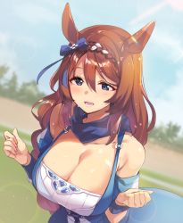 Rule 34 | 1girl, animal ears, blue bow, blue dress, blue eyes, blue scarf, blue sky, bow, breasts, brown hair, cleavage, commentary, ddolggol, dress, dutch angle, hair bow, hands up, highres, horse ears, large breasts, long hair, looking at viewer, o-ring dress, open mouth, outdoors, scarf, sky, solo, super creek (umamusume), sweat, umamusume, upper body